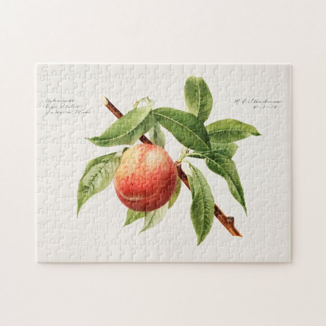 Puzzle Peinture à base de fruits (Prunus Persica) (Horizontal)