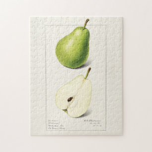 Puzzle Peinture à l'aquarelle de fruits (Pyrus Communis)
