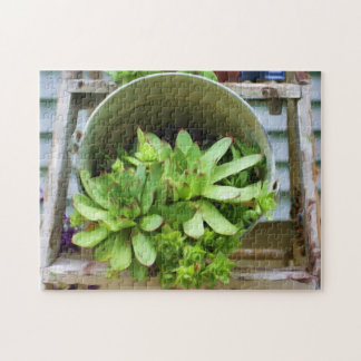 Puzzle Peinture à l'huile de succulentes Hens And Chicks