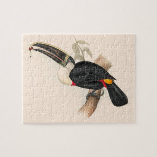 Puzzle Peinture animalière d'antiquités Toucans