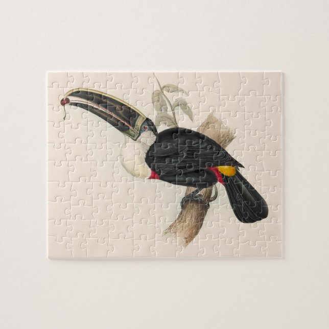 Puzzle Peinture animalière d'antiquités Toucans (Horizontal)