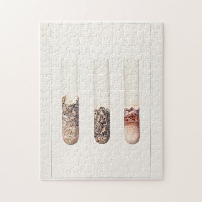 Puzzle Peinture aquarelle Limes (Citrus Aurantiifolia) (Vertical)