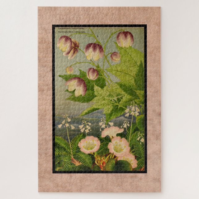 Puzzle Peinture botanique vintage des fleurs australienne (Vertical)