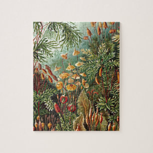 Puzzle Peinture de champignon d'herbe Haeckel Moss