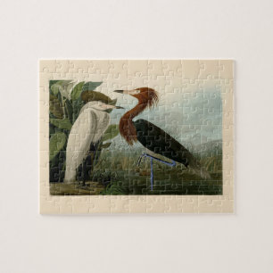 Puzzle Peinture de la faune d'Audubon Heron violet