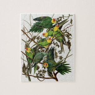 Puzzle Peinture d'oiseaux aux perruques de Caroline du Su