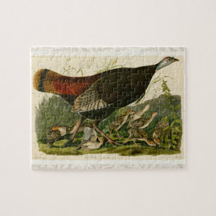 Puzzle Peinture d'oiseaux sauvages de Turquie Audubon