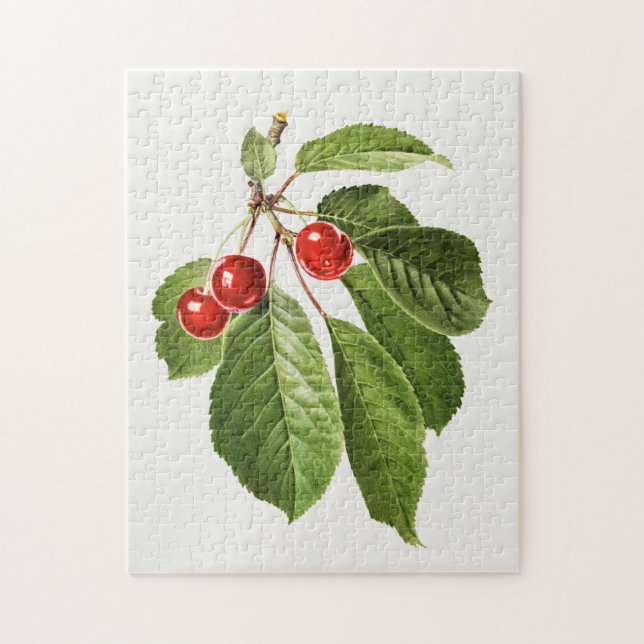 Puzzle Peinture vintage d'aquarelle de fruits de cerisier (Vertical)