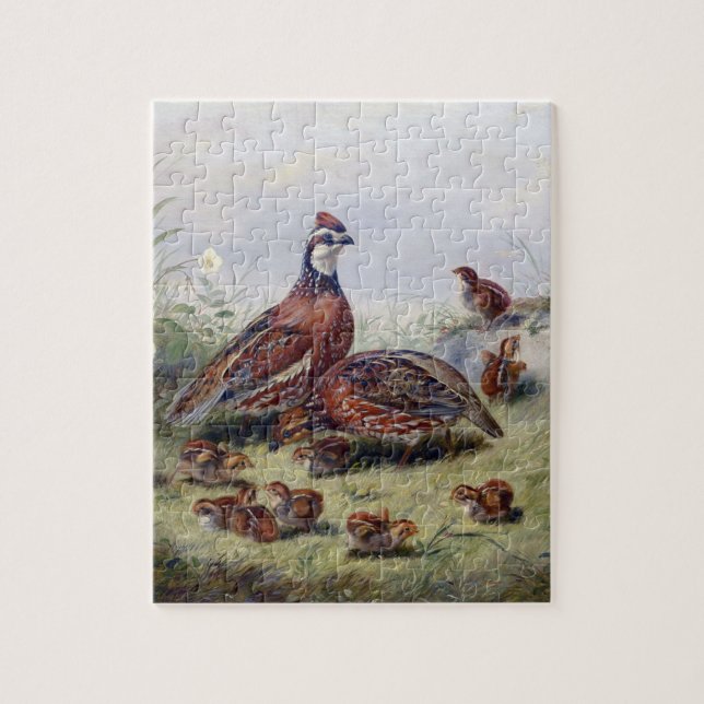 Puzzle Peinture vintage D'Oiseau De Quail Par Fitzwilliam (Vertical)