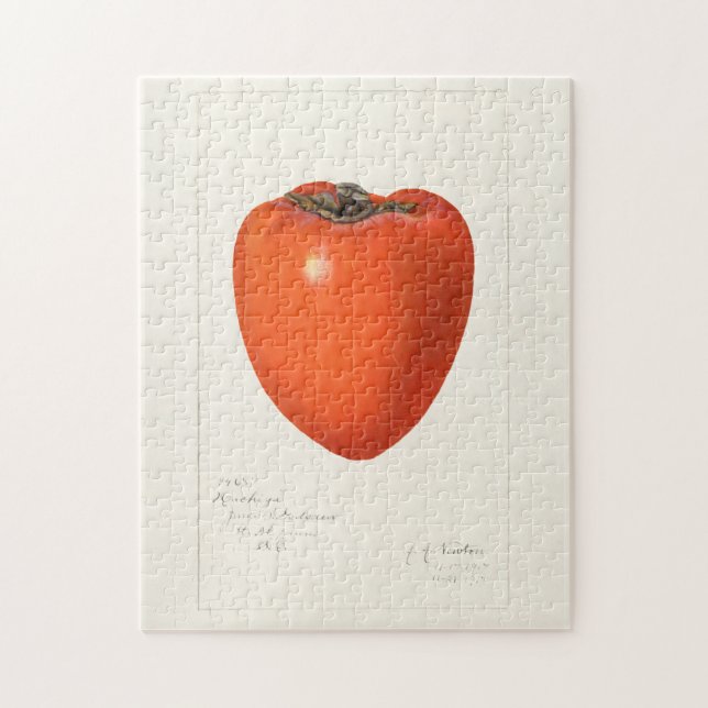 Puzzle Peinture vintage Persimmon Fruit Aquarelle (Vertical)