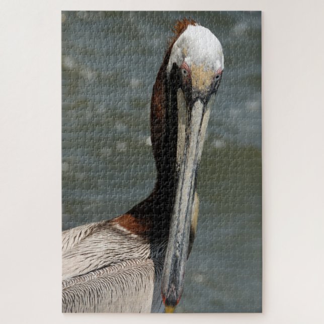 Puzzle Pelican (Vertical)