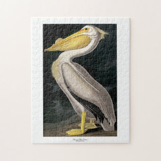 Puzzle Pélican blanc américain John James Audubon 11 x 14