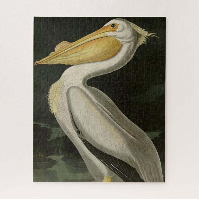 Puzzle Pélican blanc américain, les oiseaux d'Amérique d' (Vertical)