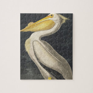 Puzzle Pélican blanc d'Amérique de Birds of America