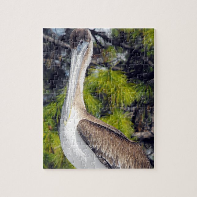 Puzzle Pélican Brown juvénile (Vertical)