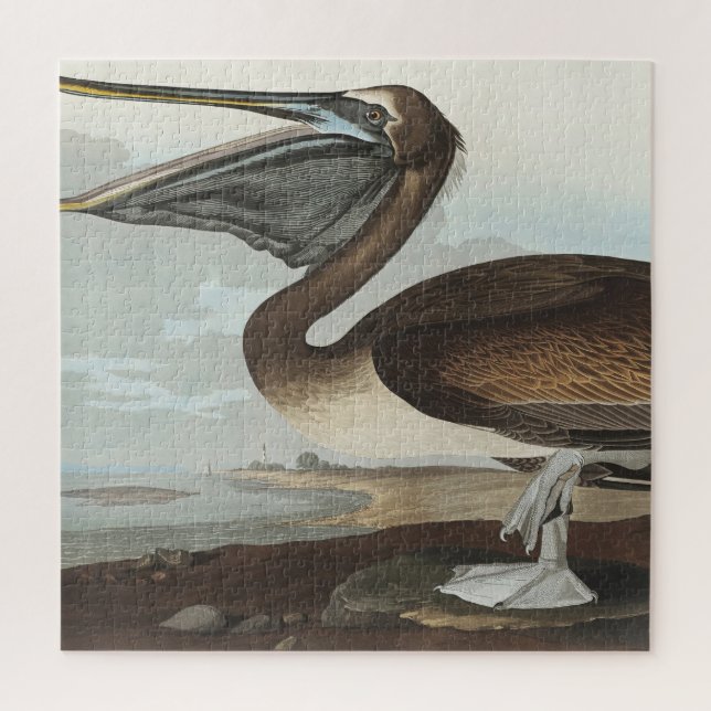 Puzzle Pélican brun de Birds of America (Vertical)