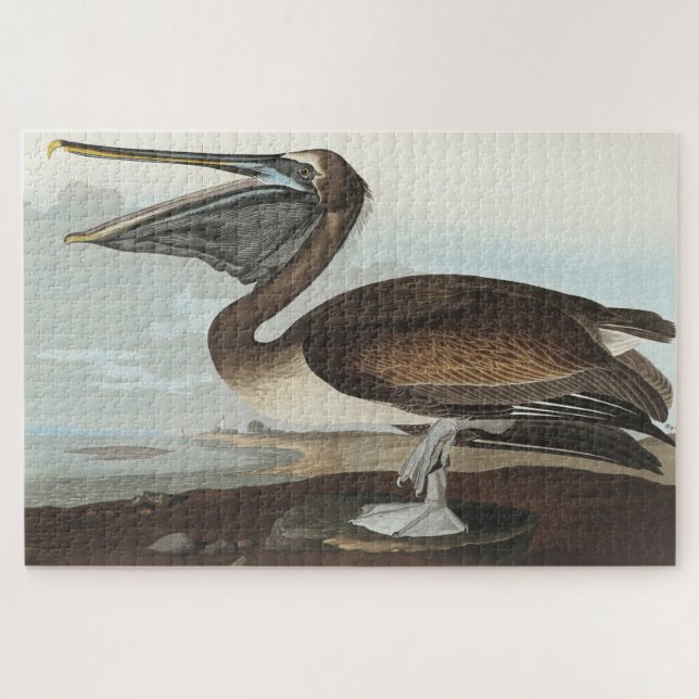 Puzzle Pélican brun de Birds of America (Horizontal)