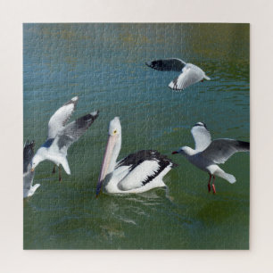 Puzzle Pélican et les resquilleurs,