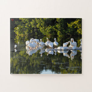 Puzzle Pélicans de l'Île Sanibel Floride
