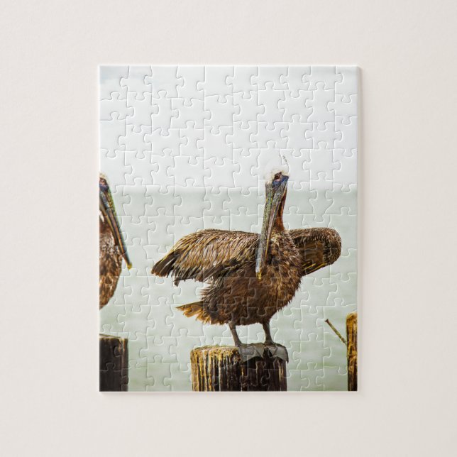 Puzzle Pélicans étés perché sur des courriers (Vertical)