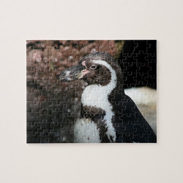 Puzzle Penguin (Horizontal)