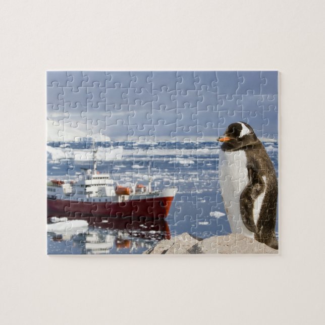Puzzle Penguin Gentoo (Horizontal)