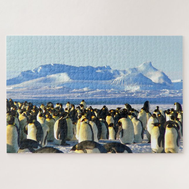 Puzzle Penguins (Horizontal)