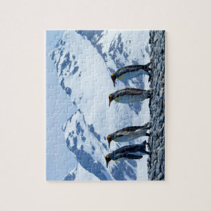 Puzzle Penguins du roi de Géorgie du Sud