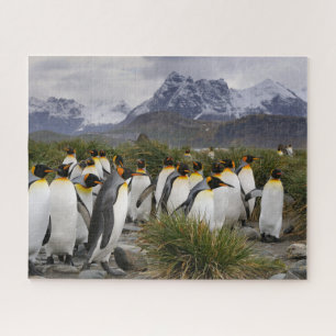 Puzzle Penguins et montagnes du roi de Géorgie du Sud