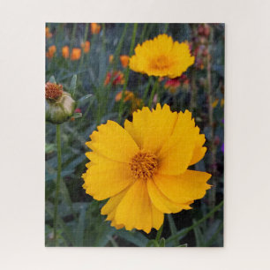 Puzzle Penser à vous Cosmos orange photo