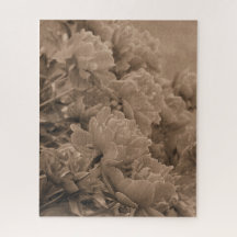 Peonies multiples en Sepia