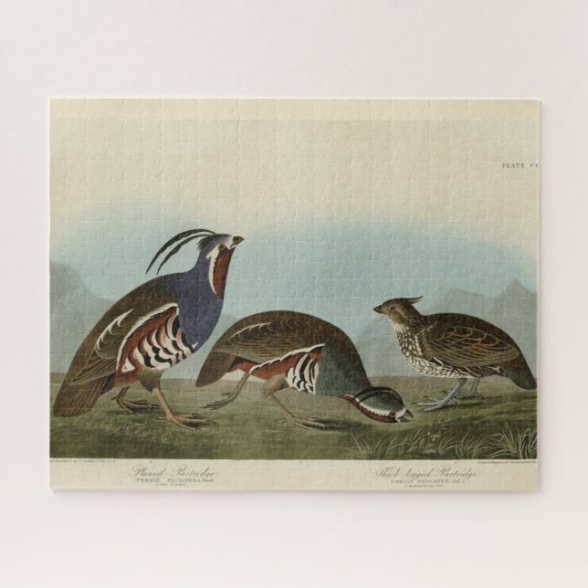 Puzzle Perdrix en peluche et à pattes épaisses - Audubon' (Horizontal)
