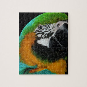 Puzzle Perroquet
