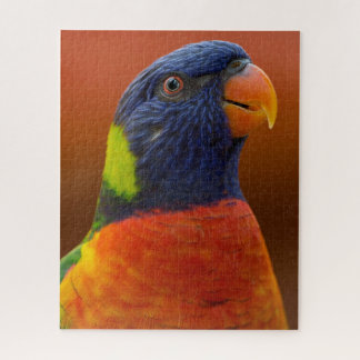Puzzle Perroquet coloré Vibrant Oiseau tropical