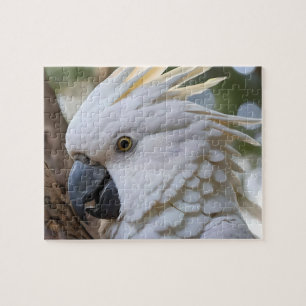 Puzzle Perroquet de Cockatoo australien blanc,