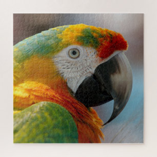 Puzzle Perroquet de Macaw Tropical