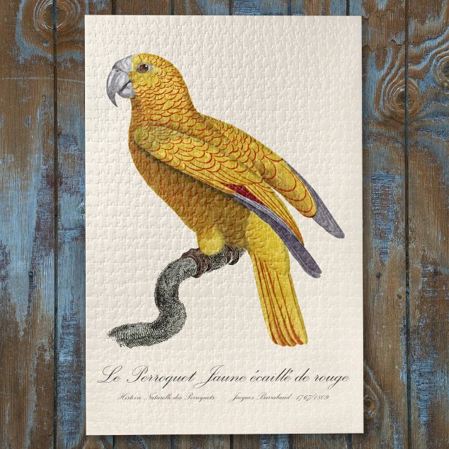 Puzzle Perroquet de Paradis de Cuba, Psittacus Paradisi (Le Perroquet Jaune ecaille de rouge. Jigsaw Puzzle)