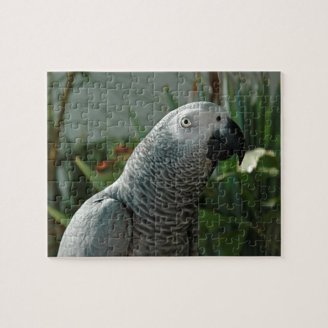 Puzzle Perroquet fini de gris africain (Horizontal)