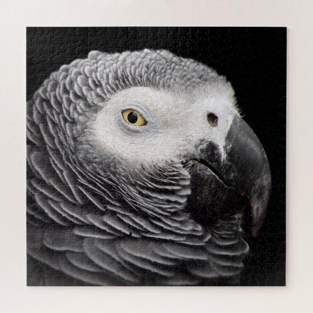 Puzzle Perroquet Gris Africain (Horizontal)