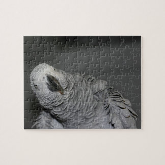 Puzzle Perroquet gris d'Afrique mignon oiseau