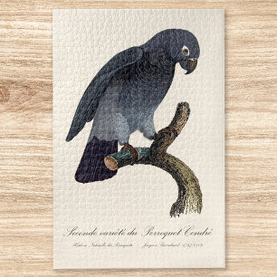 Puzzle Perroquet gris Timneh, Psittacus Timneh