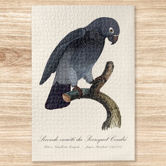 Puzzle Perroquet gris Timneh, Psittacus Timneh (Timneh African Grey Parrot, Psittacus Timneh. Jigsaw Puzzle)