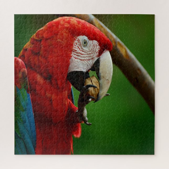 Puzzle Perroquet rouge tropical (Vertical)