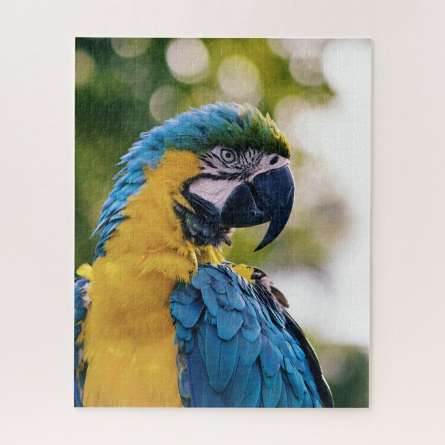 Puzzle Perroquet tropical macaw bleu et jaune (Vertical)