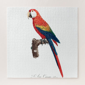 Puzzle Perroquet vintage - Oiseaux Vieux art illustratif