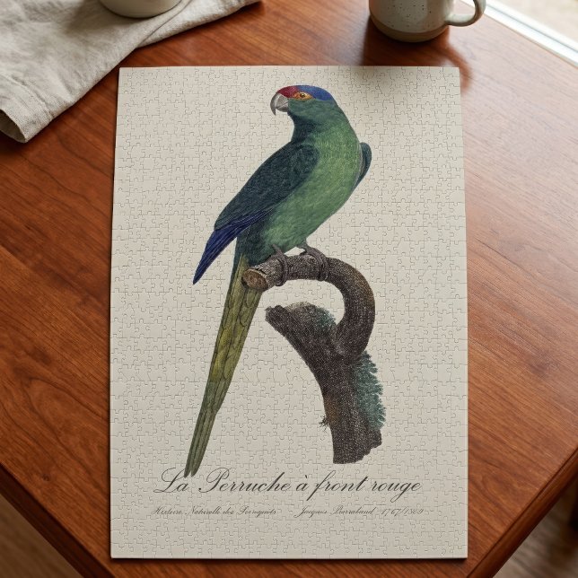 Puzzle Perruche à front orange, Eupsittula Canicularis (Orange-Fronted Parakeet, Eupsittula Canicularis. Jigsaw Puzzle)