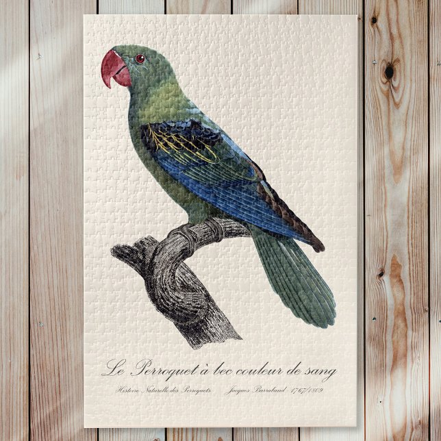 Puzzle Perruche à gros bec, Tanygnathus megalorynchos (Great-Billed Parrot, Tanygnathus Megalorynchos. Jigsaw Puzzle)