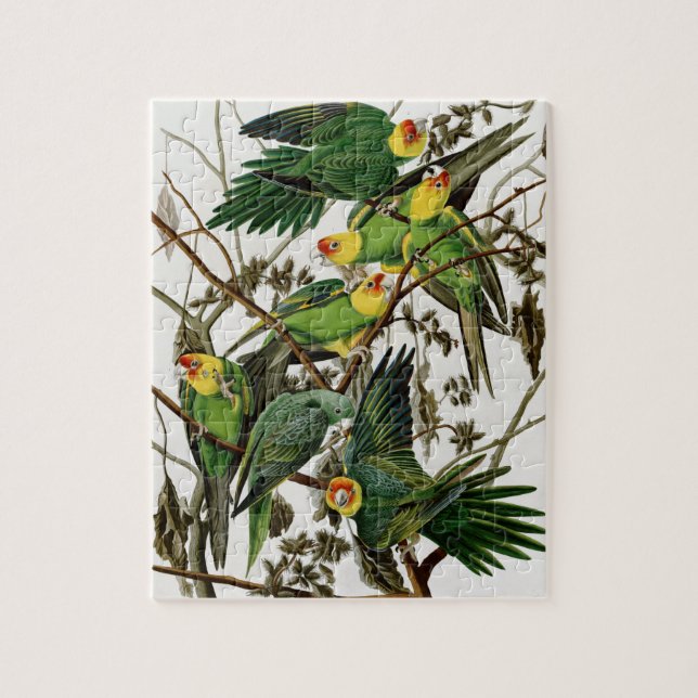 Puzzle Perruche de Caroline vintage de peinture Audubon (Vertical)