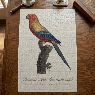 Puzzle Perruche soleil mâle, Aratinga solstitialis