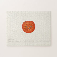 Persimmon (Diospyros) Peinture à l'aquarelle de fr